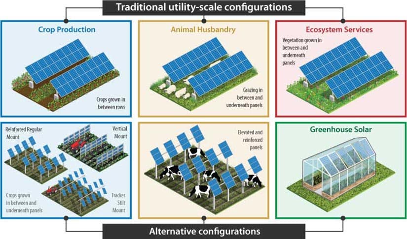 Cover Image for Exploring Agrivoltaics: Configurations And Benefits For Solar Farms